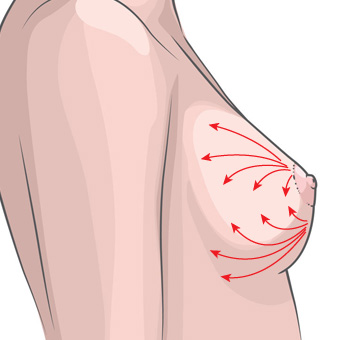 ������ ����3