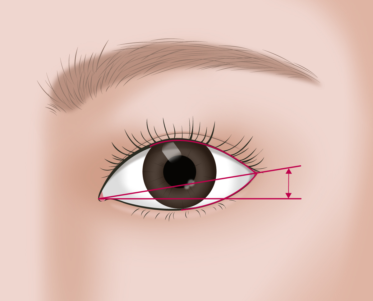 �Ʒ� ����Ǯ ���� �ḷ���� �� �Ʒ� ������ ��� �񸷿� �ܴ��� ���� 