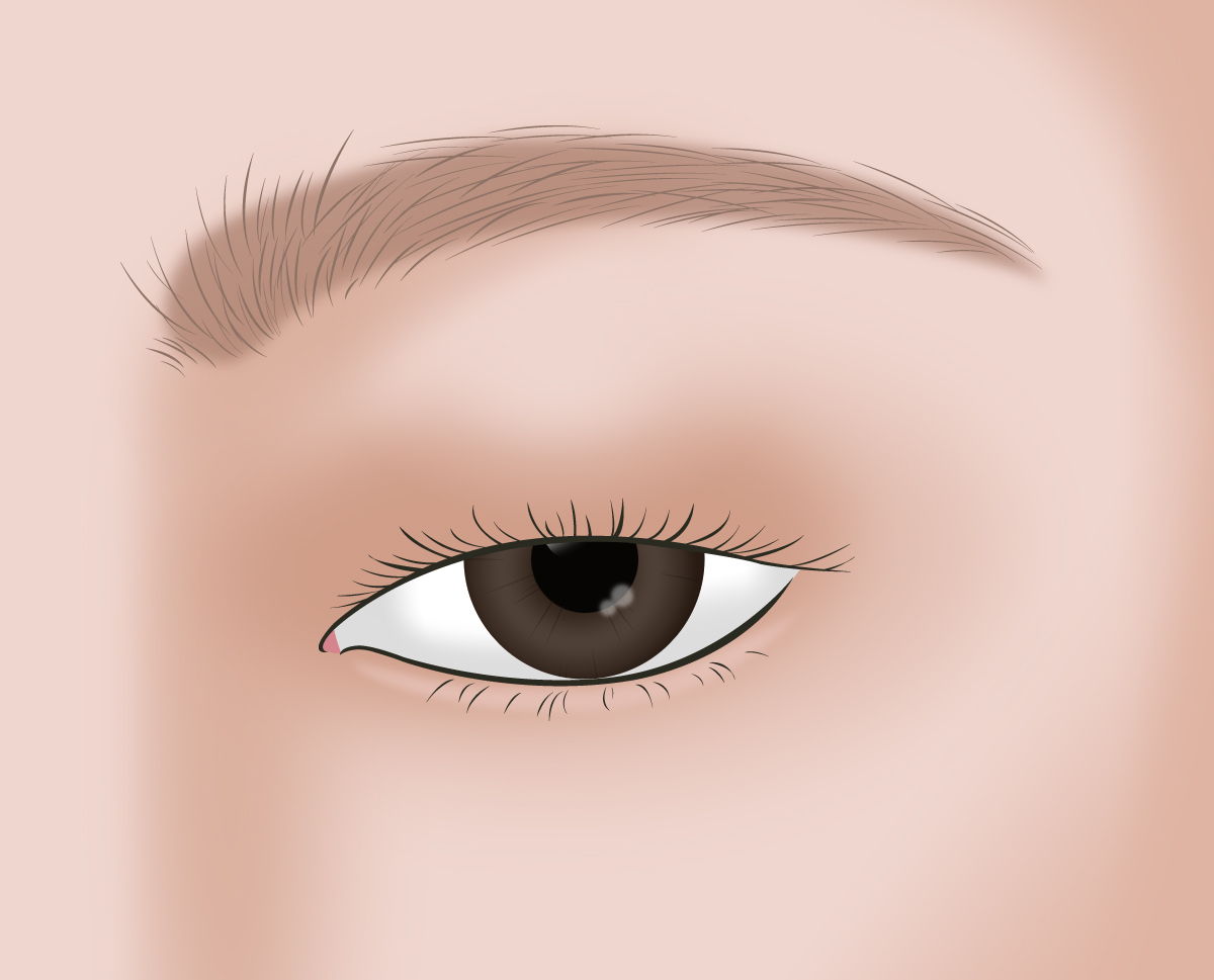 ���� ���α��̰� ���� ��