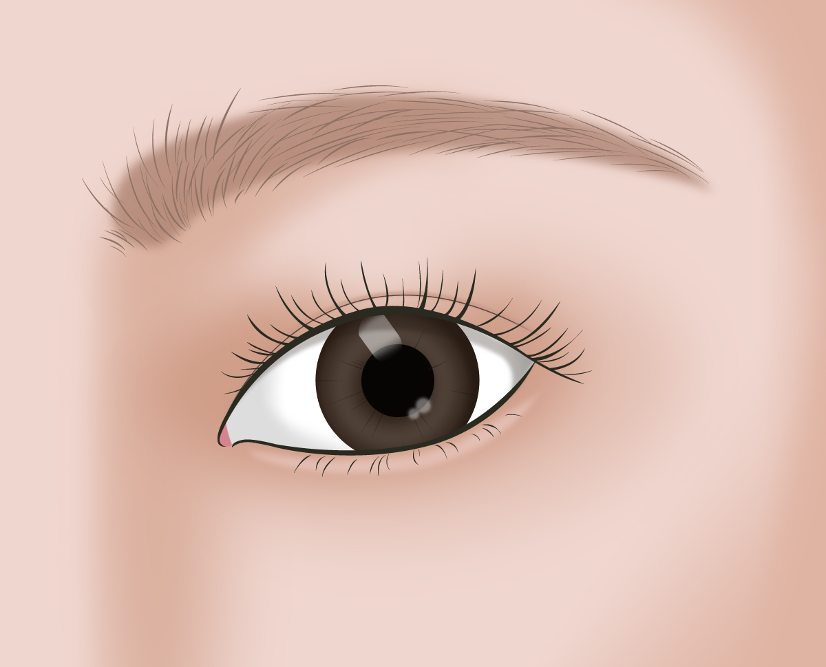 �������� ���� ����� ��