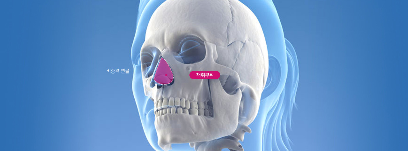 ���߰ݿ���