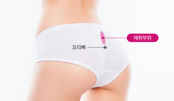 �ڰ�����